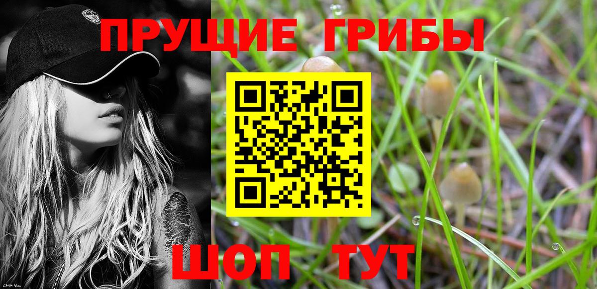 Галлюциногенные грибы Magic Shrooms Саяногорск