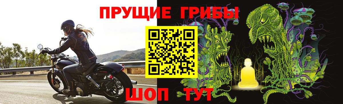 Саяногорск  купить закладку  Вход с VPN  Псилоцибиновые грибы Cubensis 